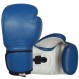 Boxing Glove